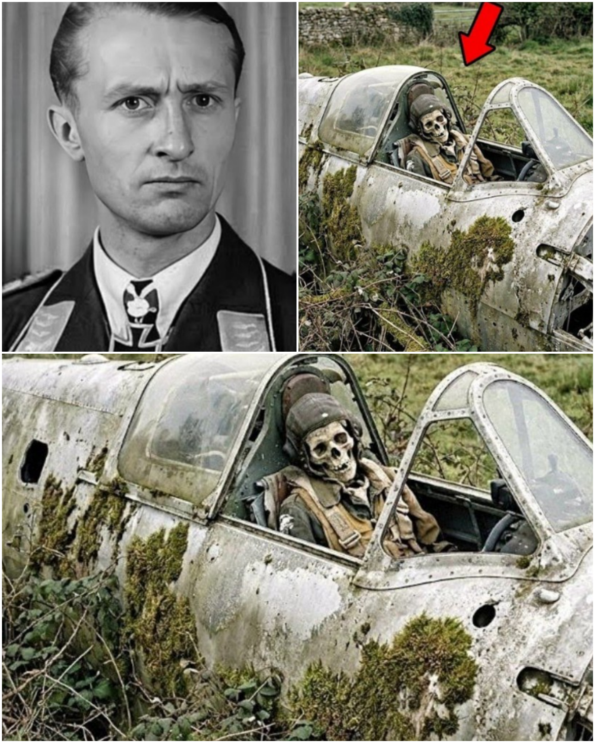 A German pilot disappeared during World War II—77 years later, his plane was found in the French countryside.