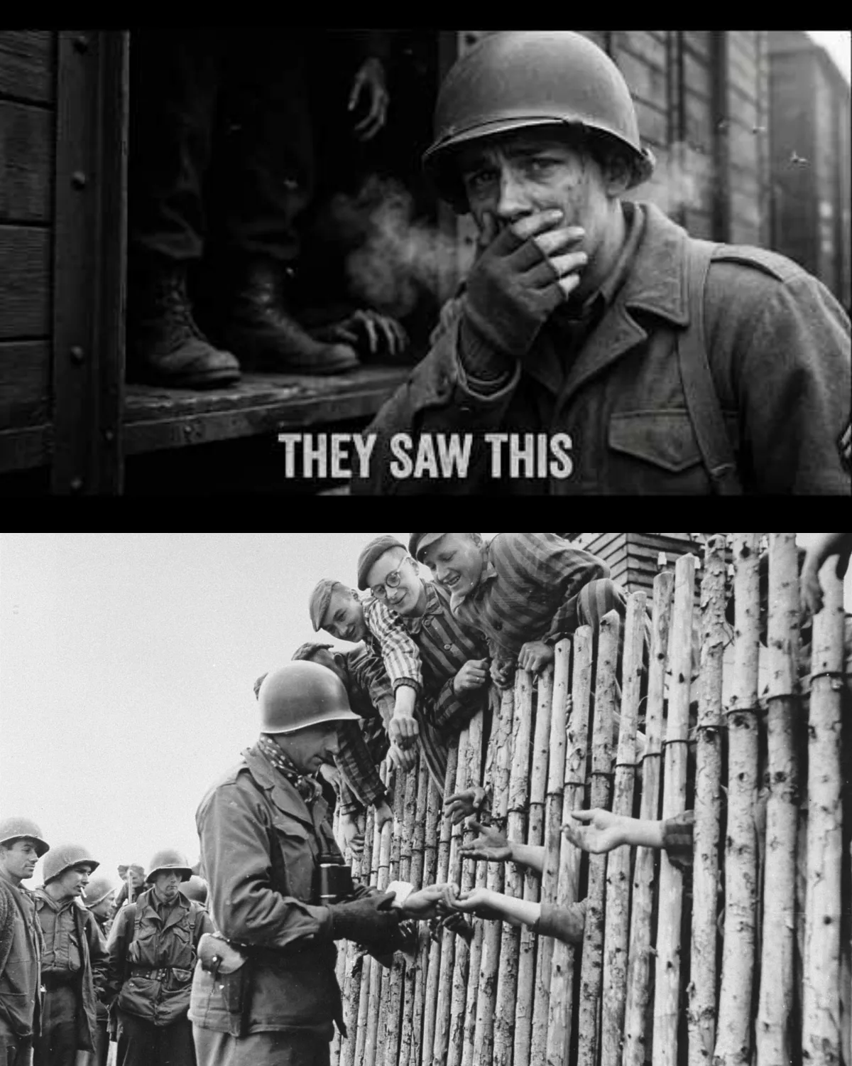 What American Soldiers Did to SS Guards When They Found Dachau