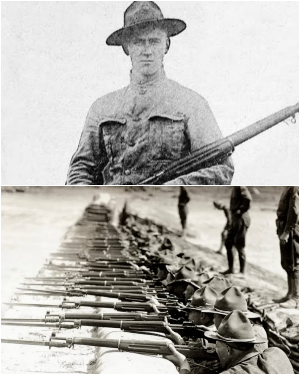 The $28 Rifle That Outfought Every Springfield America Ever Issued… November