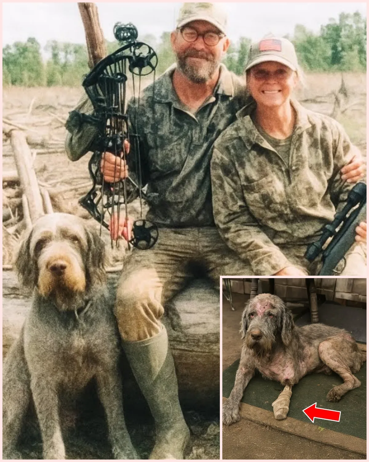 Couple Went Hunting and Vanished — 2 Years Later Their Dog Returns…