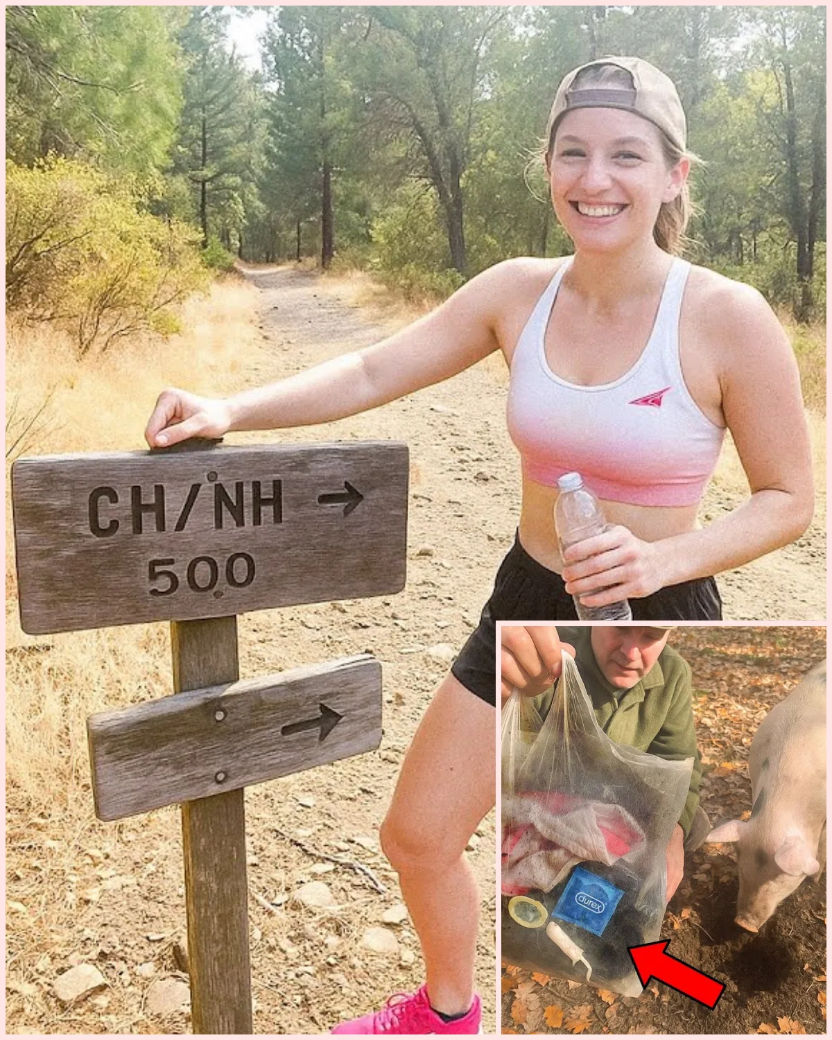 Woman Vanished on Morning Jog in Napa, 2 Years Later Truffle Hunter’s Pig Unearths This…